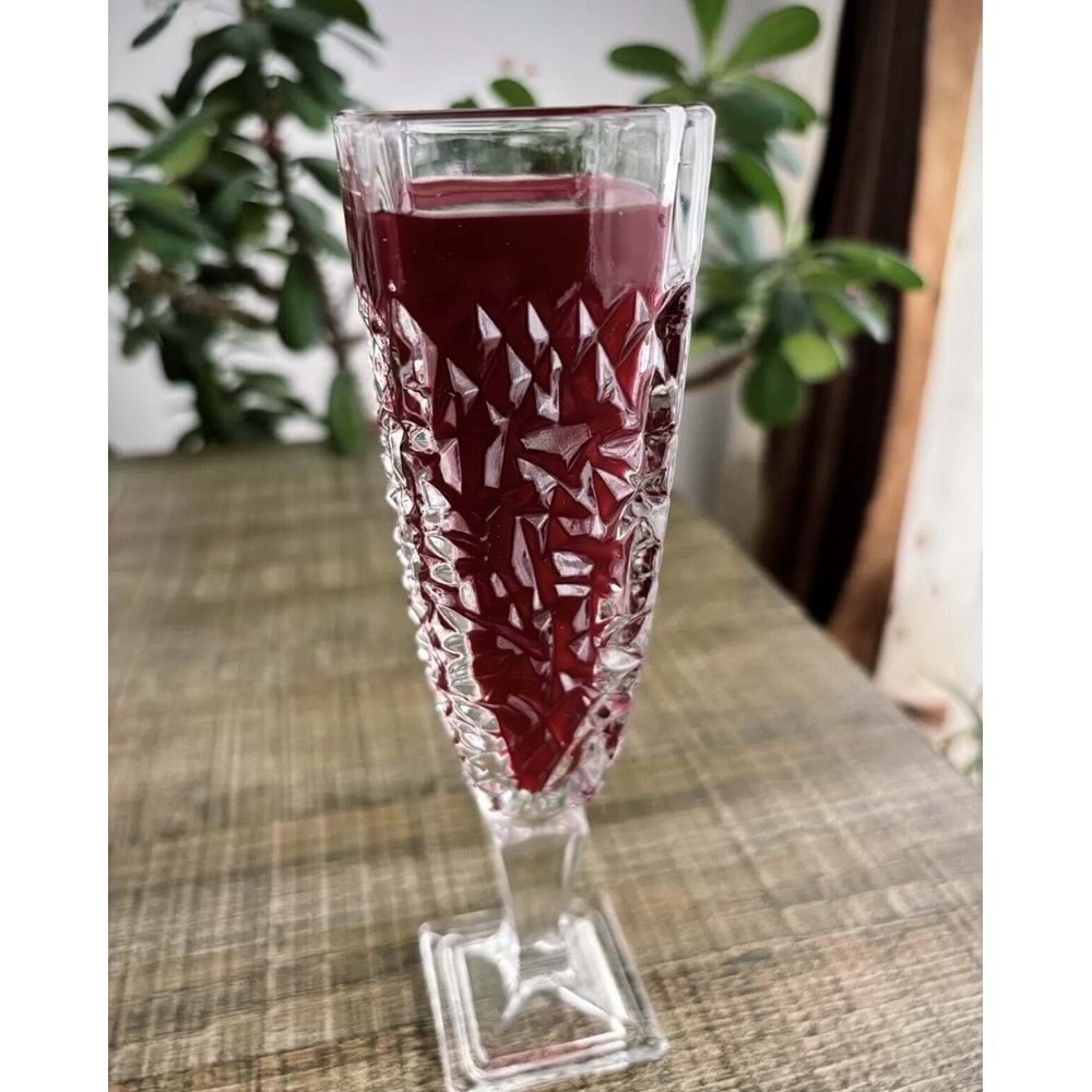 Herencıa Begonya 6 Lı Ayaklı Bardak (4 Paket)