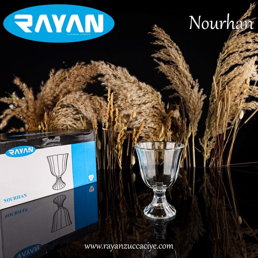Rayan Nourhan 6 Lı Dondurmalık (6 Paket)