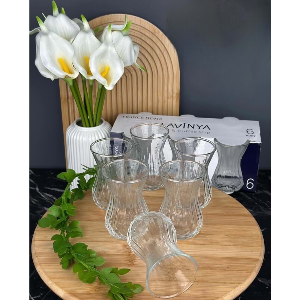 Lavinya Lines Çay Bardak (12 Paket)