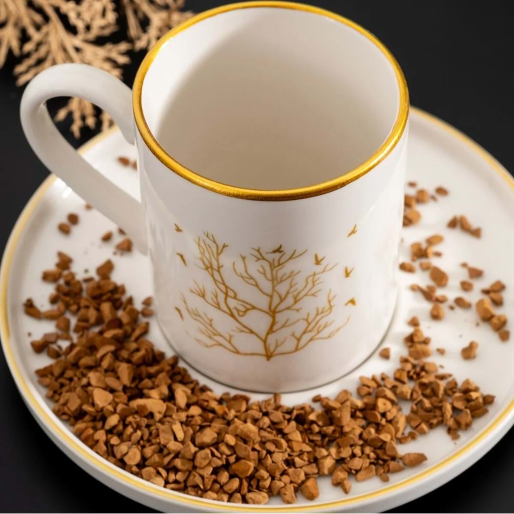 Mest 12 Prç Desenli Kahve fincanı