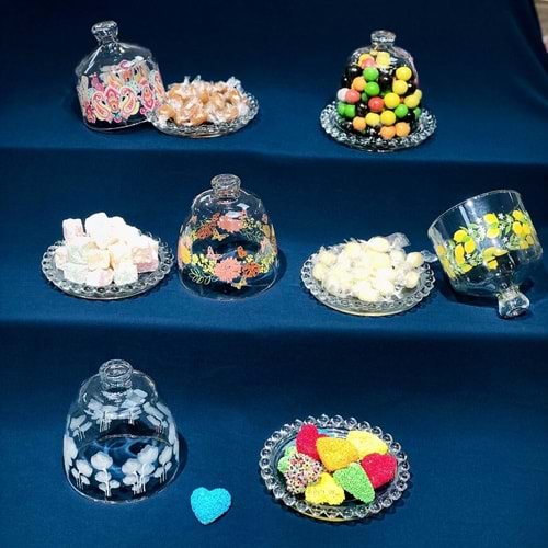 Vanes Çilek Saklama Kabı (24 Paket)
