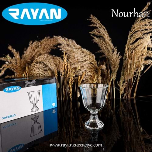 Rayan Nourhan 6 Lı Dondurmalık (6 Paket)