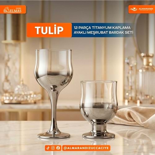 Elmas Titanyum Gümüş 12 Parça Ayaklı Bardak Seti (4 Paket)