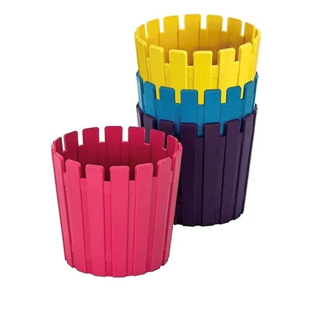 PROFAK85PN Akasya Kaktüs 5,5 Pastel Mix