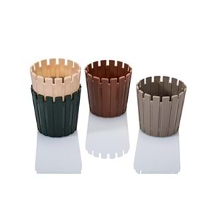 PROFAK85PN Akasya Kaktüs 5,5 Pastel Mix