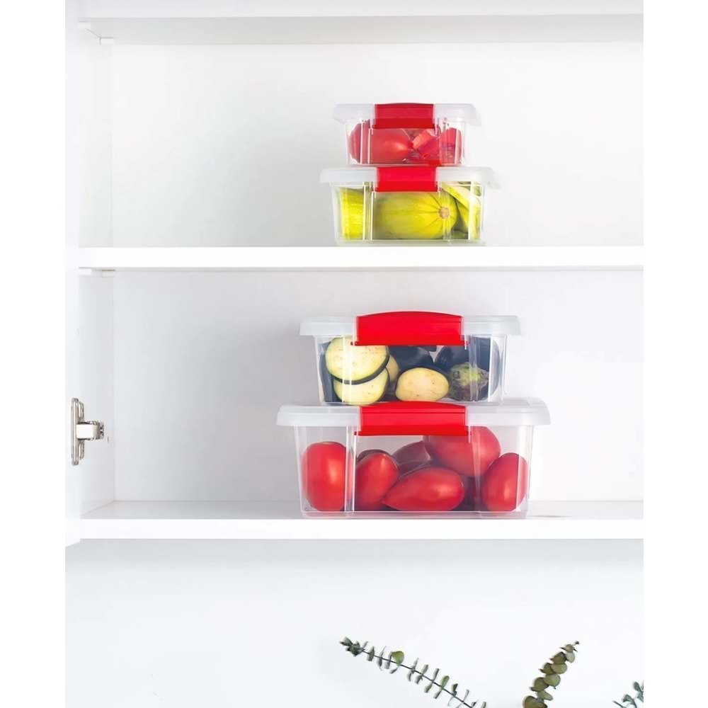 Org-466 Fresh Clink 4 Lü Saklama Kabı (12 Paket)