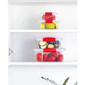 Org-466 Fresh Clink 4 Lü Saklama Kabı (12 Paket)