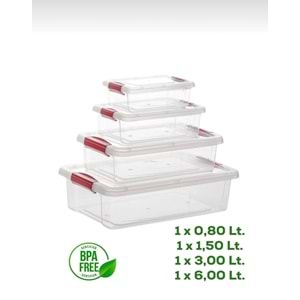 Org-466 Fresh Clink 4 Lü Saklama Kabı (12 Paket)