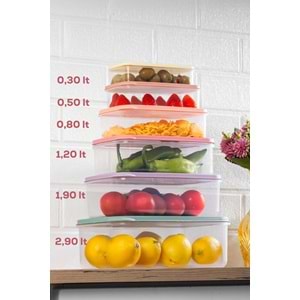 Org-400 Stackit 6 Lı Saklama Kabı (24 Paket)