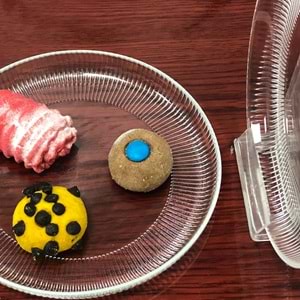 Vanes Sensu 16 Cm 6 Lı Pasta Tabağı Şeffaf