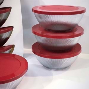 Vanes Meva 4 Lü Cam Saklama Kabı (8 Paket)