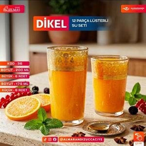 Elmas 12 Prç İşlemeli Bardak Seti (4 Paket)