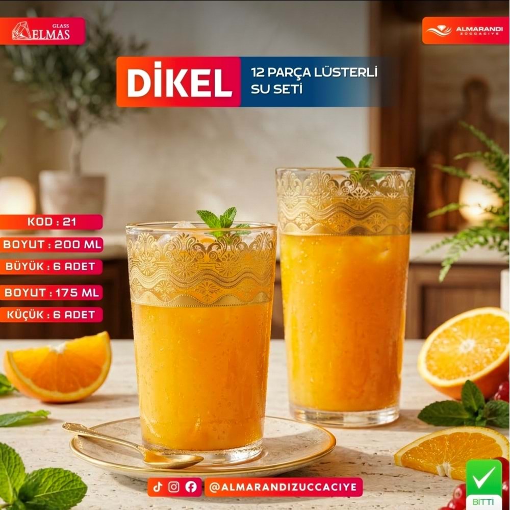 Elmas 12 Prç İşlemeli Bardak Seti (4 Paket)