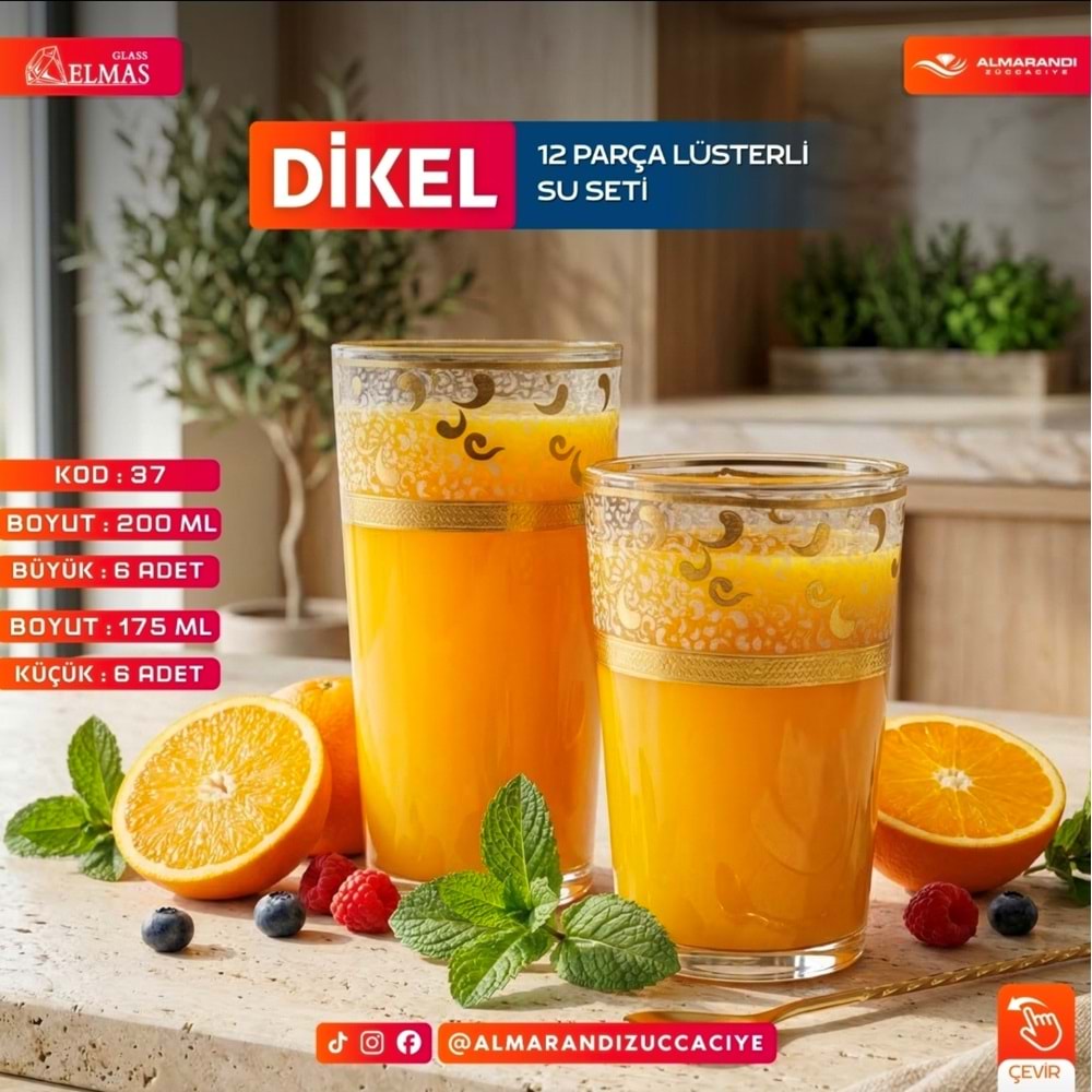 Elmas 12 Prç İşlemeli Bardak Seti (4 Paket)