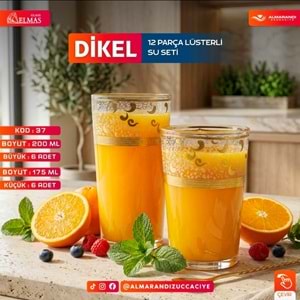 Elmas 12 Prç İşlemeli Bardak Seti (4 Paket)