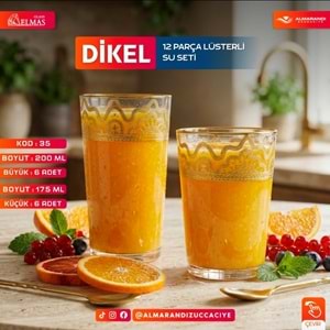 Elmas 12 Prç İşlemeli Bardak Seti (4 Paket)