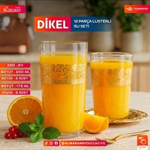 Elmas 12 Prç İşlemeli Bardak Seti (4 Paket)