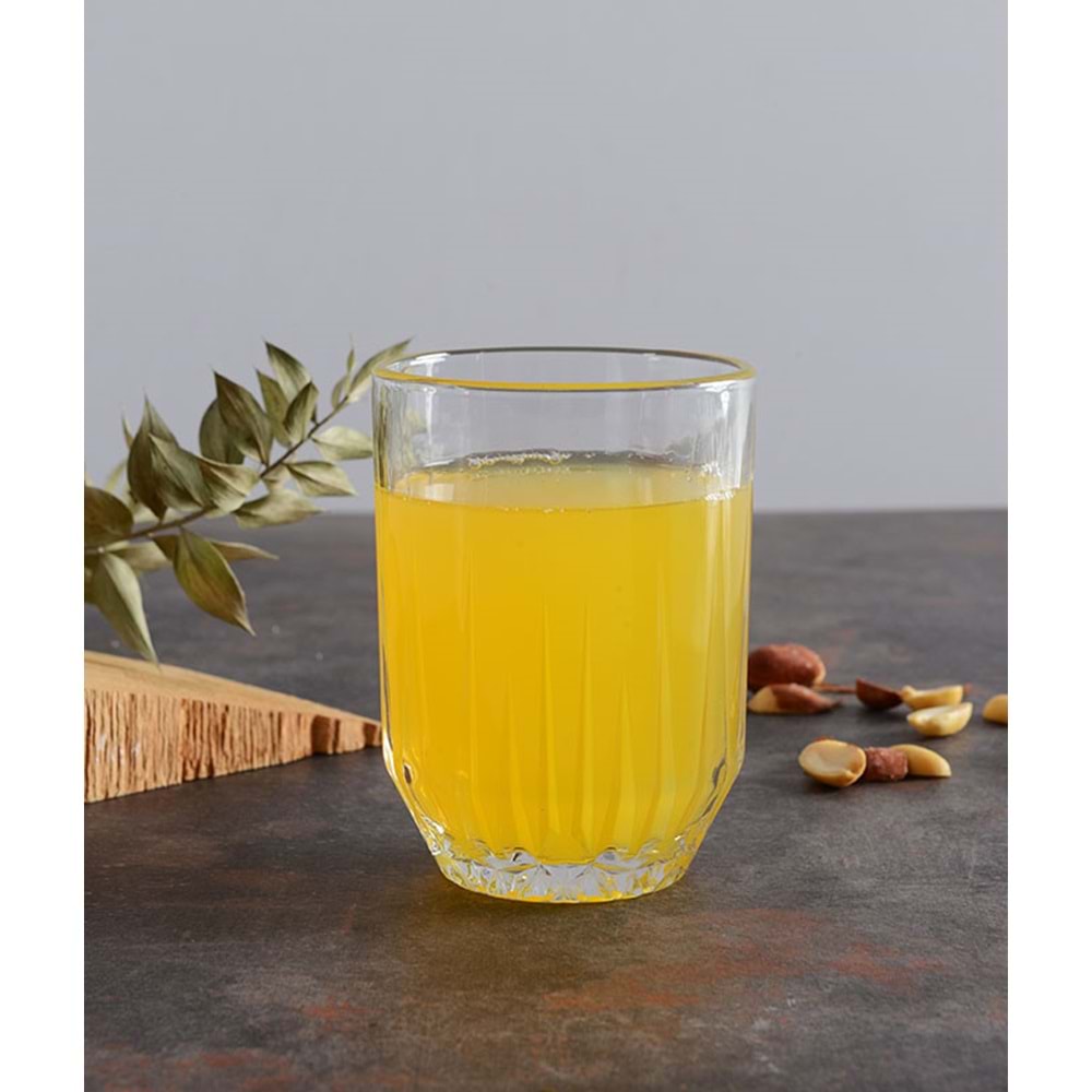 Paşabahçe 520272 3 Lü Echo Su Bardağı (8 Paket)