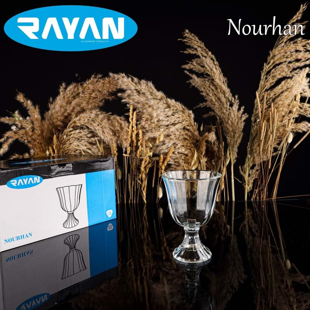 Rayan Nourhan 6 Lı Dondurmalık (6 Paket)