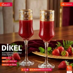 Elmas 6 Prç İşlemeli Ayaklı Bardak (6 Paket)
