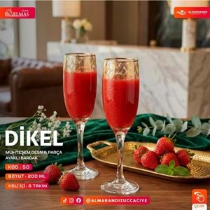 Elmas 6 Prç İşlemeli Ayaklı Bardak (6 Paket)